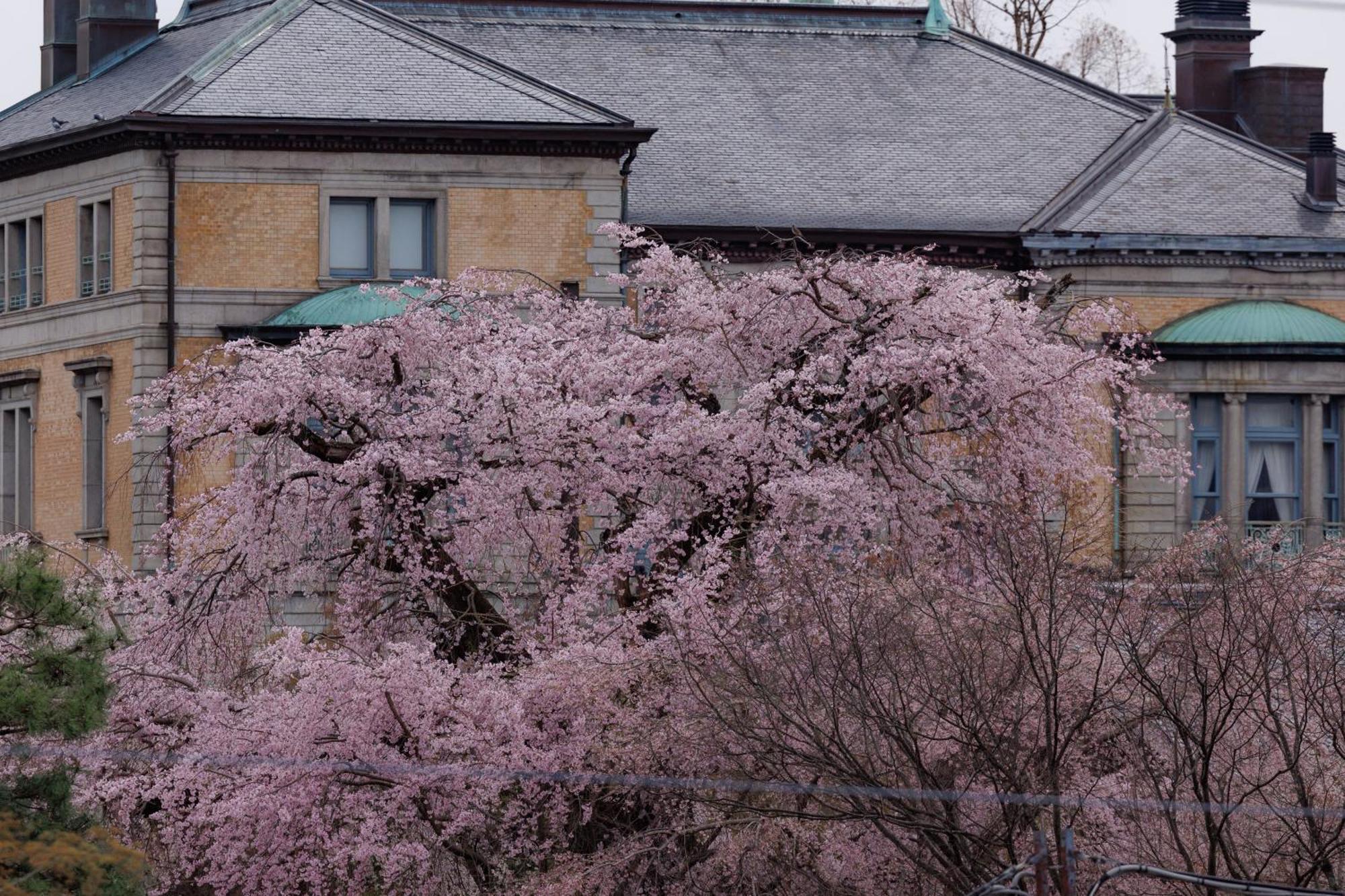Hotel Chourakukan Kyoto Gion 長楽館 Quioto Exterior foto